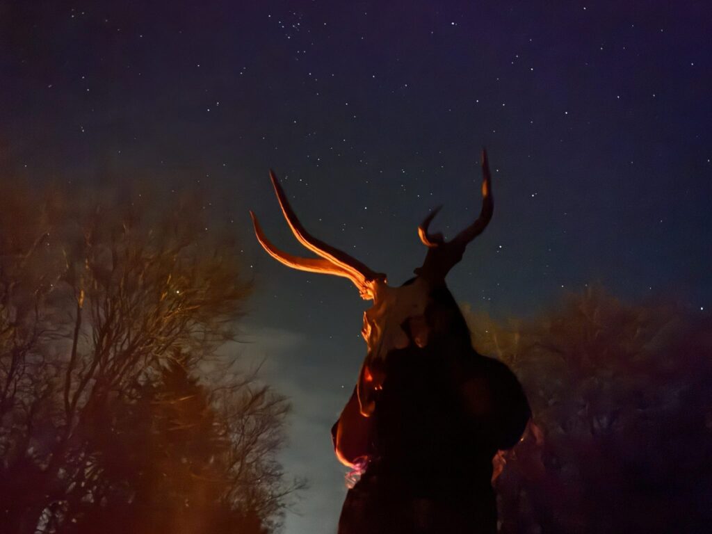 Night scene with man holding a buck skull in front of his face